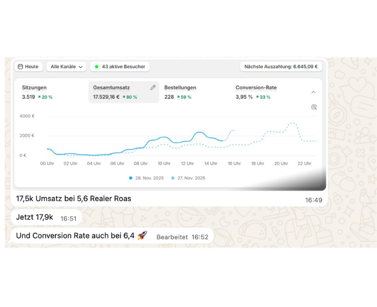 Teilnehmerresultat 7 — Shopify-Dashboard